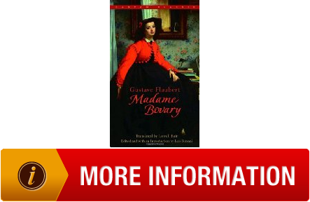 Updated Madame Bovary Bantam Classics
